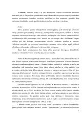 Komunikacijos sociologija 2 puslapis