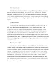 Tytuvėnų regioninio parko plėtros potencialas 11 puslapis