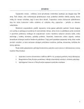 Lietuvos ir Pietų Korėjos užsienio prekyba 2 puslapis