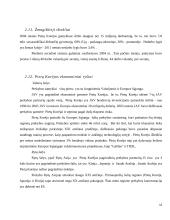 Lietuvos ir Pietų Korėjos užsienio prekyba 12 puslapis