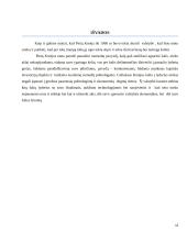 Lietuvos ir Pietų Korėjos užsienio prekyba 13 puslapis