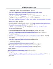 Lietuvos ir Pietų Korėjos užsienio prekyba 17 puslapis