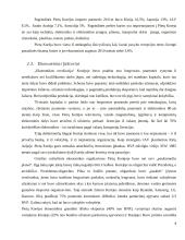 Lietuvos ir Pietų Korėjos užsienio prekyba 8 puslapis