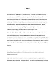 Kontrolės įtaisai 2 puslapis