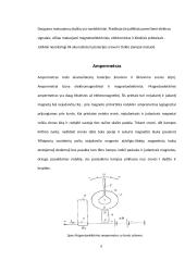 Kontrolės įtaisai 6 puslapis