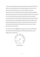 Kontrolės įtaisai 8 puslapis