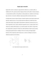 Kontrolės įtaisai 9 puslapis