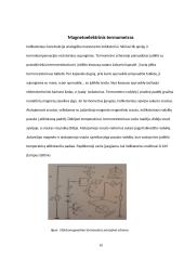 Kontrolės įtaisai 10 puslapis