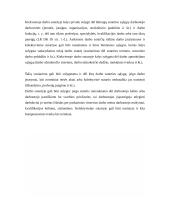 Kuriamos trikotažo suaugusiems parduotuvės „Geišos paslaptis“ marketingo planas 12 puslapis