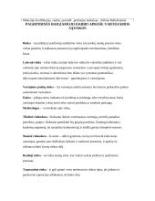 Kuriamos trikotažo suaugusiems parduotuvės „Geišos paslaptis“ marketingo planas 4 puslapis