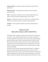 Kuriamos trikotažo suaugusiems parduotuvės „Geišos paslaptis“ marketingo planas 5 puslapis