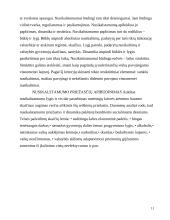 Globalizacija ir nusikalstamumas 11 puslapis