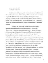 Globalizacija ir nusikalstamumas 9 puslapis