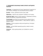 Interjero arba eksterjero elementas 3 puslapis