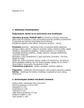 Interjero arba eksterjero elementas 6 puslapis