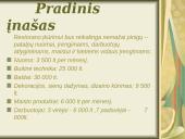 Verslo planas: ﻿restoranas "Gusta Ko" 4 puslapis