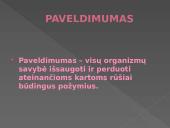 Genetikos pagrindai. Pristatymas 3 puslapis