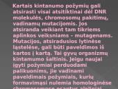 Genetikos pagrindai. Pristatymas 6 puslapis