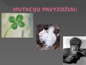 Genetikos pagrindai. Pristatymas 7 puslapis