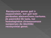 Genetikos pagrindai. Pristatymas 9 puslapis