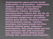 Genetikos pagrindai. Pristatymas 10 puslapis