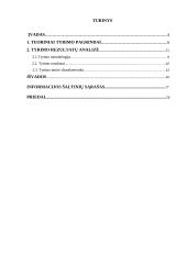 Bedarbystės problema 2 puslapis