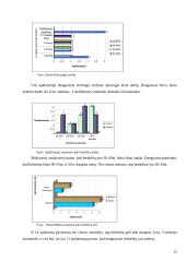 Bedarbystės problema 12 puslapis