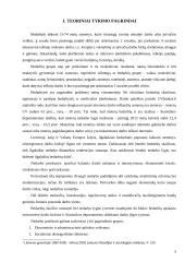 Bedarbystės problema 5 puslapis