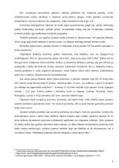 Bedarbystės problema 6 puslapis