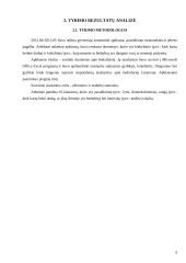 Bedarbystės problema 9 puslapis