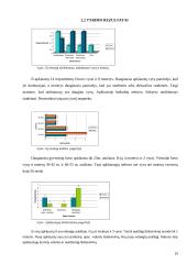Bedarbystės problema 10 puslapis