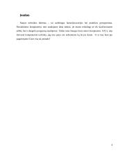 Kompiuterinė raida 4 puslapis