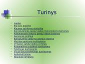 Specialiosios kompiuterinės technologijos kurtiesiems 2 puslapis