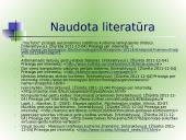 Specialiosios kompiuterinės technologijos kurtiesiems 16 puslapis