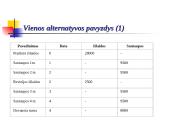 Ekonominių skaičiavimų modeliai 16 puslapis