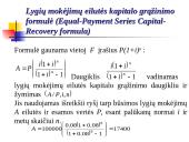 Ekonominių skaičiavimų modeliai 8 puslapis