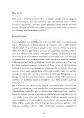 Mokestinės prievolės vykdymo užtikrinimas 15 puslapis