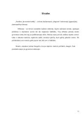 Nėštumas 11 puslapis