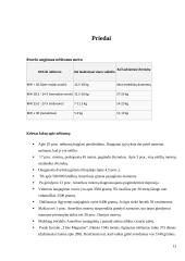 Nėštumas 13 puslapis