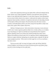 Nėštumas 3 puslapis