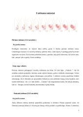 Nėštumas 5 puslapis