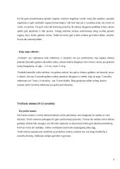 Nėštumas 6 puslapis