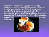 Tabako, alkoholio, narkotinių medžiagų bei stresų poveikis gemalo vystymuisi 2 puslapis
