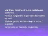 Tabako, alkoholio, narkotinių medžiagų bei stresų poveikis gemalo vystymuisi 13 puslapis