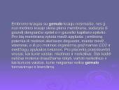 Tabako, alkoholio, narkotinių medžiagų bei stresų poveikis gemalo vystymuisi 4 puslapis
