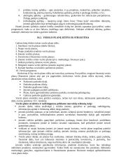 Verslo planas. Konspektas 2 puslapis