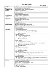 Verslo planas. Konspektas 3 puslapis