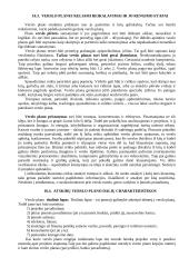 Verslo planas. Konspektas 4 puslapis