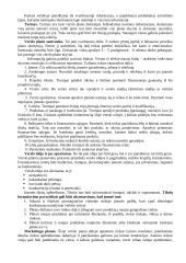 Verslo planas. Konspektas 5 puslapis