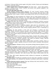 Verslo planas. Konspektas 6 puslapis